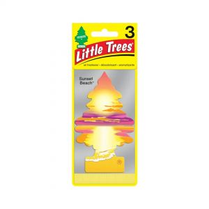 LITTLE TREE PINO  SUNSET BEACH